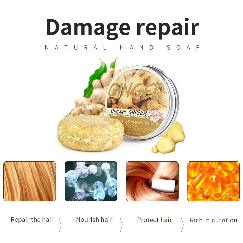 Shampoo soap Ginger solid sham - Castor Oil Soap のレビューと価格